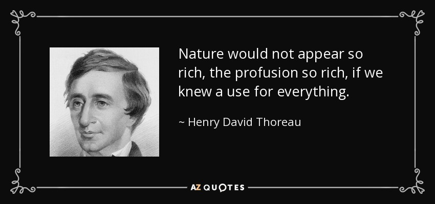 Nature would not appear so rich, the profusion so rich, if we knew a use for everything. - Henry David Thoreau