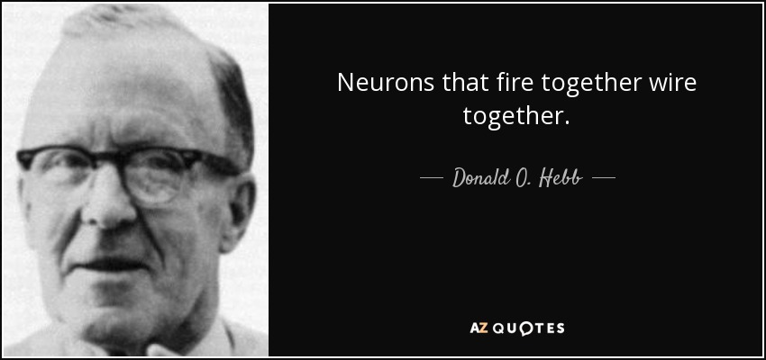 Neurons that fire together wire together. - Donald O. Hebb