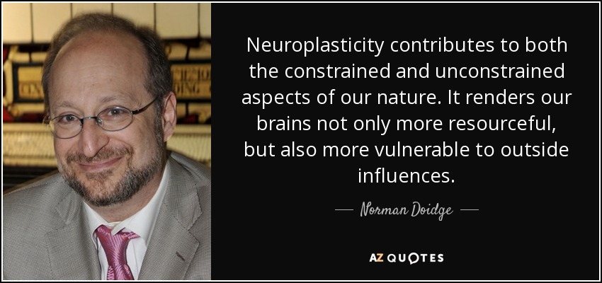 Neuroplasticity contributes to both the constrained and unconstrained aspects of our nature. It renders our brains not only more resourceful, but also more vulnerable to outside influences. - Norman Doidge