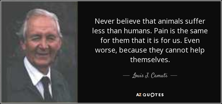 Never believe that animals suffer less than humans. Pain is the same for them that it is for us. Even worse, because they cannot help themselves. - Louis J. Camuti