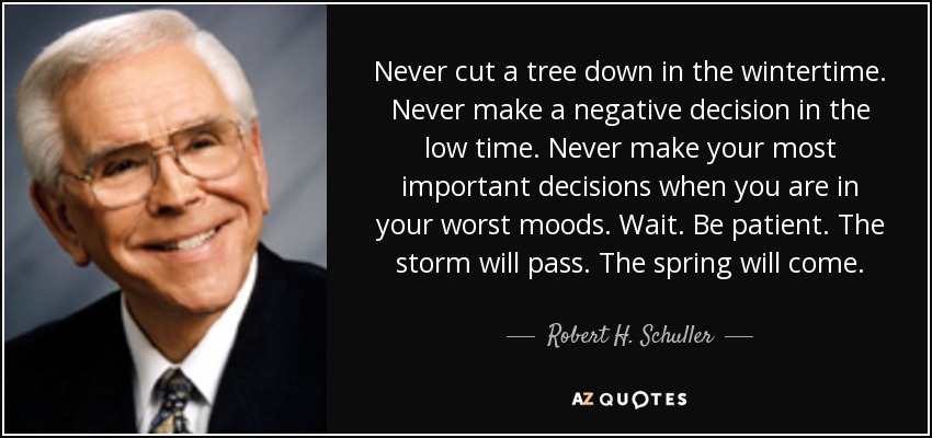 Never cut a tree down in the wintertime. Never make a negative decision in the low time. Never make your most important decisions when you are in your worst moods. Wait. Be patient. The storm will pass. The spring will come. - Robert H. Schuller