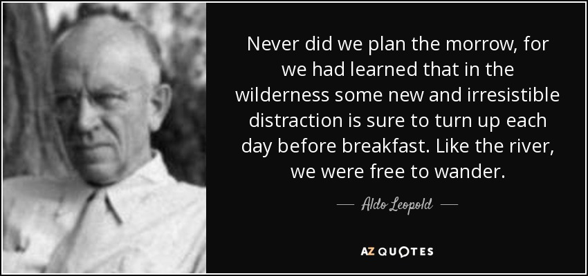 Never did we plan the morrow, for we had learned that in the wilderness some new and irresistible distraction is sure to turn up each day before breakfast. Like the river, we were free to wander. - Aldo Leopold