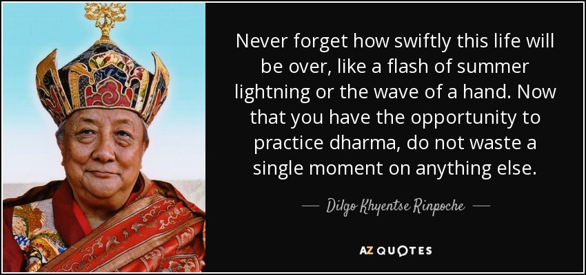Never forget how swiftly this life will be over, like a flash of summer lightning or the wave of a hand. Now that you have the opportunity to practice dharma, do not waste a single moment on anything else. - Dilgo Khyentse Rinpoche