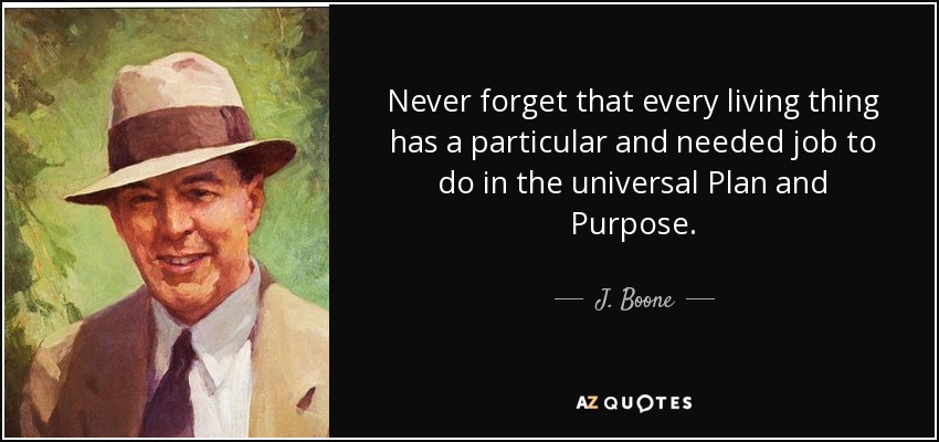 Never forget that every living thing has a particular and needed job to do in the universal Plan and Purpose. - J. Boone