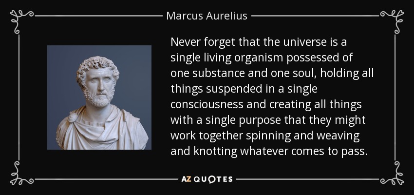 Never forget that the universe is a single living organism possessed of one substance and one soul, holding all things suspended in a single consciousness and creating all things with a single purpose that they might work together spinning and weaving and knotting whatever comes to pass. - Marcus Aurelius