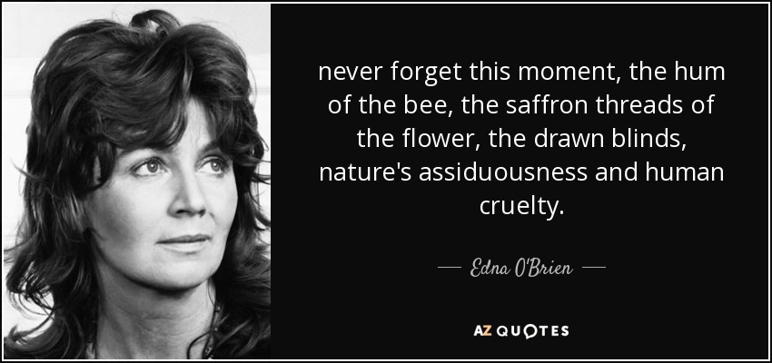 never forget this moment, the hum of the bee, the saffron threads of the flower, the drawn blinds, nature's assiduousness and human cruelty. - Edna O'Brien
