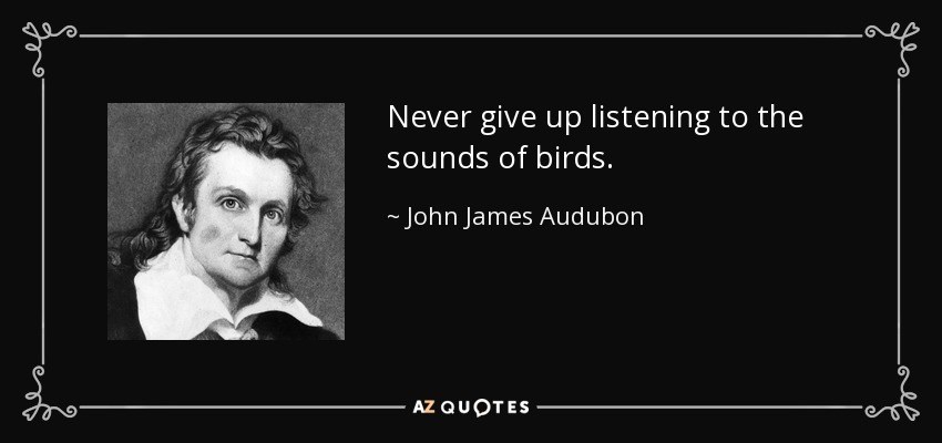 Never give up listening to the sounds of birds. - John James Audubon