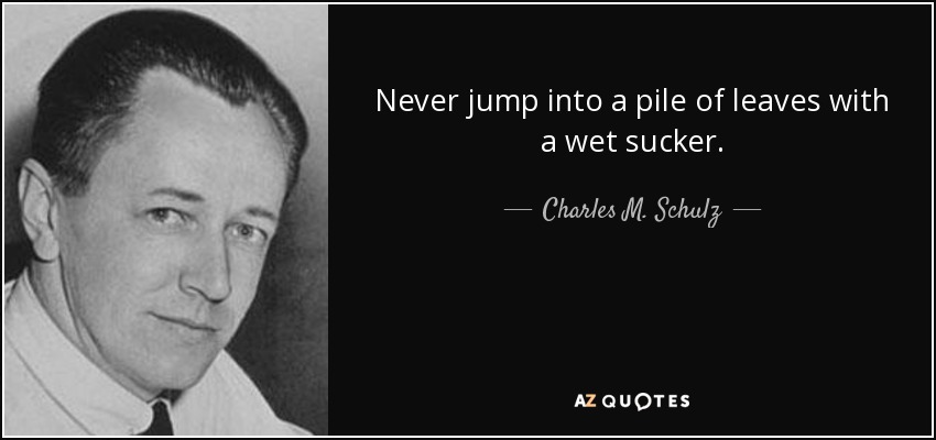 Never jump into a pile of leaves with a wet sucker. - Charles M. Schulz