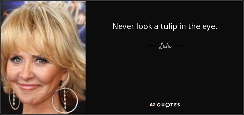 Never look a tulip in the eye. - Lulu