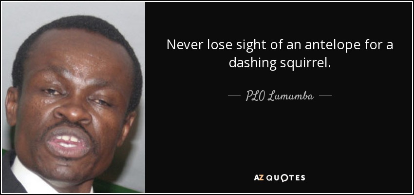 Never lose sight of an antelope for a dashing squirrel. - PLO Lumumba