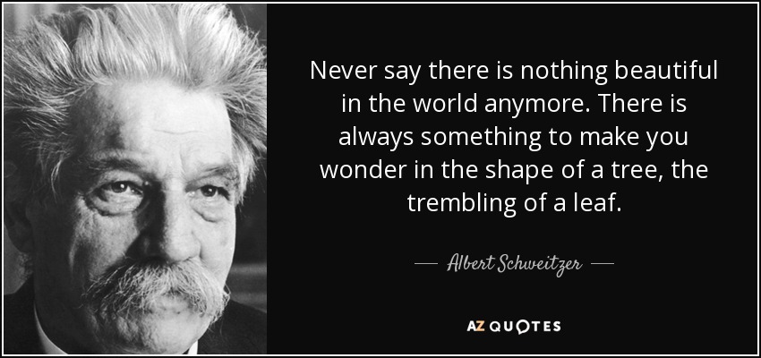 Never say there is nothing beautiful in the world anymore. There is always something to make you wonder in the shape of a tree, the trembling of a leaf. - Albert Schweitzer