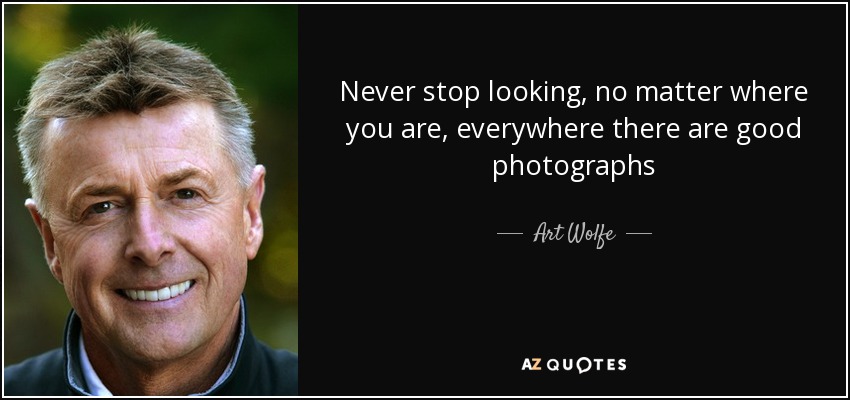 Never stop looking, no matter where you are, everywhere there are good photographs - Art Wolfe