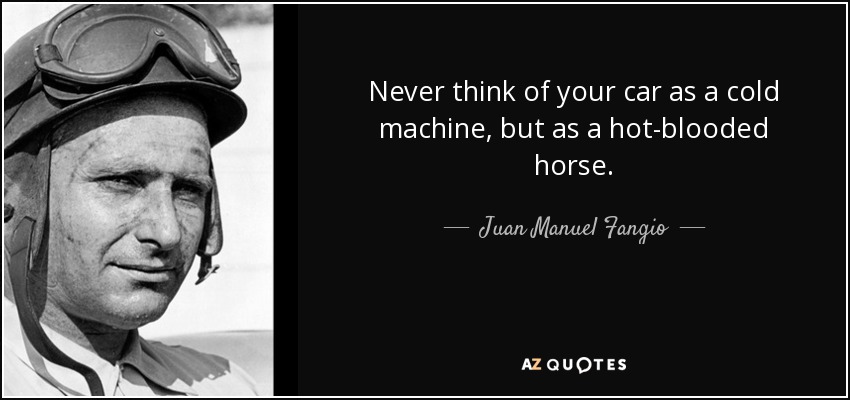 Never think of your car as a cold machine, but as a hot-blooded horse. - Juan Manuel Fangio