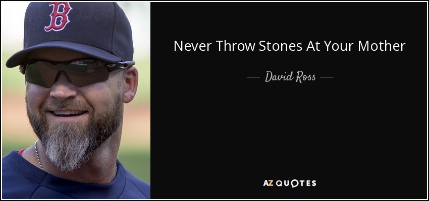 Never Throw Stones At Your Mother - David Ross