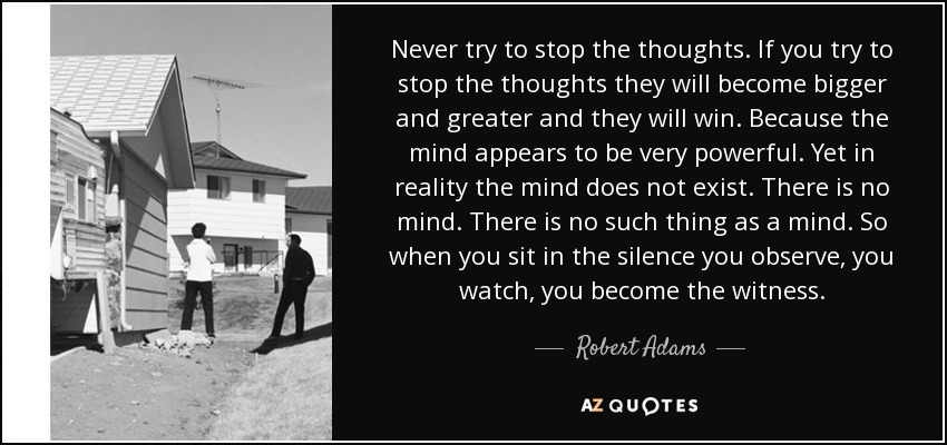 Never try to stop the thoughts. If you try to stop the thoughts they will become bigger and greater and they will win. Because the mind appears to be very powerful. Yet in reality the mind does not exist. There is no mind. There is no such thing as a mind. So when you sit in the silence you observe, you watch, you become the witness. - Robert Adams