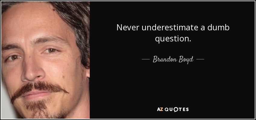 Never underestimate a dumb question. - Brandon Boyd