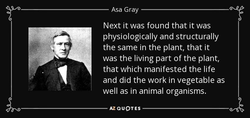 Next it was found that it was physiologically and structurally the same in the plant, that it was the living part of the plant, that which manifested the life and did the work in vegetable as well as in animal organisms. - Asa Gray
