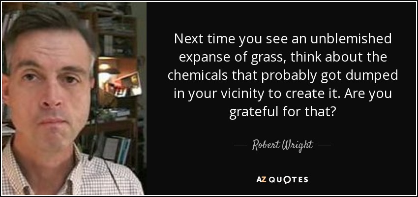 Next time you see an unblemished expanse of grass, think about the chemicals that probably got dumped in your vicinity to create it. Are you grateful for that? - Robert Wright