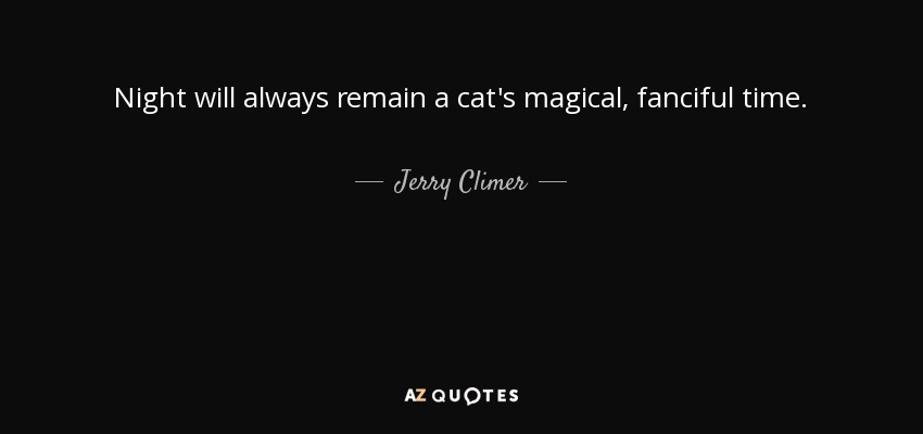 Night will always remain a cat's magical, fanciful time. - Jerry Climer