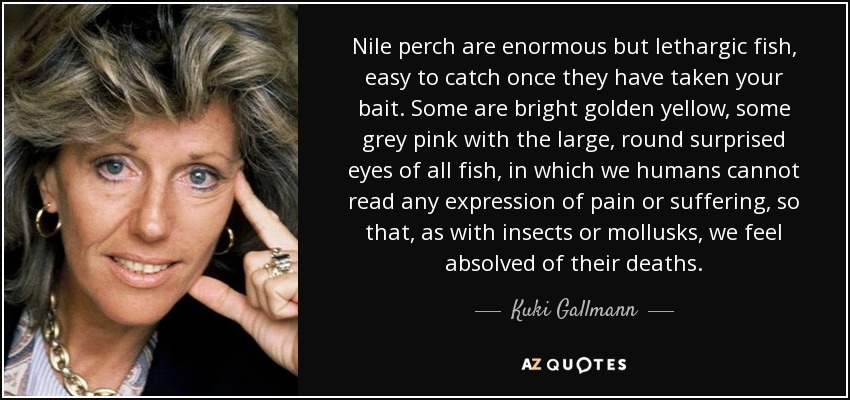 Nile perch are enormous but lethargic fish, easy to catch once they have taken your bait. Some are bright golden yellow, some grey pink with the large, round surprised eyes of all fish, in which we humans cannot read any expression of pain or suffering, so that, as with insects or mollusks, we feel absolved of their deaths. - Kuki Gallmann