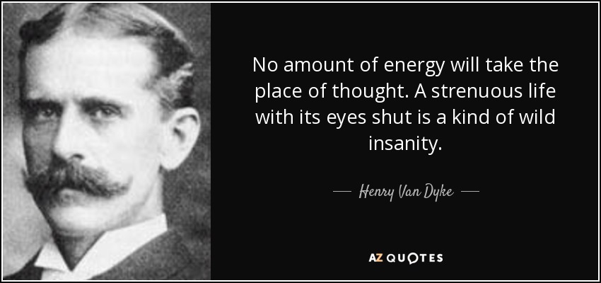 No amount of energy will take the place of thought. A strenuous life with its eyes shut is a kind of wild insanity. - Henry Van Dyke