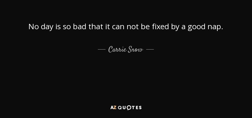 No day is so bad that it can not be fixed by a good nap. - Carrie Snow