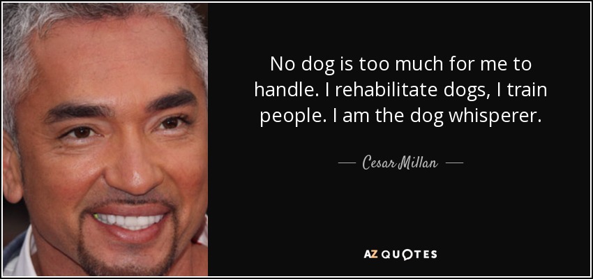 No dog is too much for me to handle. I rehabilitate dogs, I train people. I am the dog whisperer. - Cesar Millan