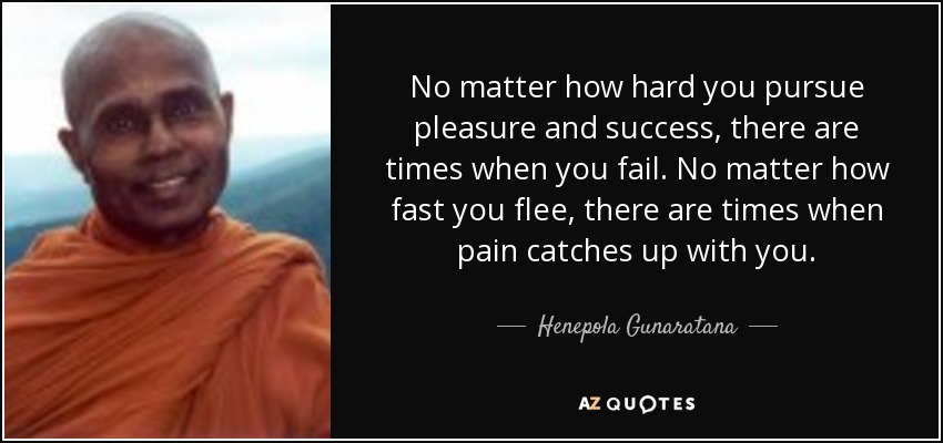 No matter how hard you pursue pleasure and success, there are times when you fail. No matter how fast you flee, there are times when pain catches up with you. - Henepola Gunaratana