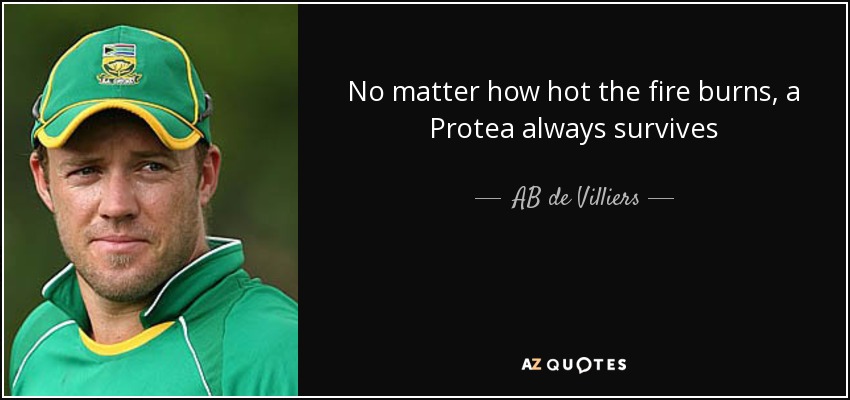 No matter how hot the fire burns, a Protea always survives - AB de Villiers
