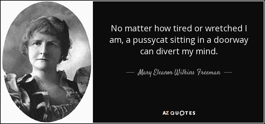 No matter how tired or wretched I am, a pussycat sitting in a doorway can divert my mind. - Mary Eleanor Wilkins Freeman