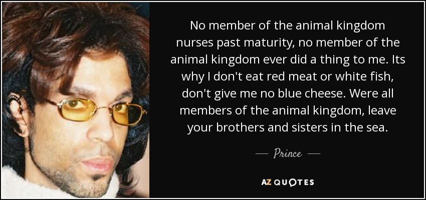No member of the animal kingdom nurses past maturity, no member of the animal kingdom ever did a thing to me. Its why I don't eat red meat or white fish, don't give me no blue cheese. Were all members of the animal kingdom, leave your brothers and sisters in the sea. - Prince