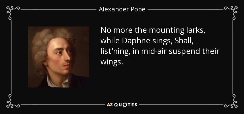 No more the mounting larks, while Daphne sings, Shall, list'ning, in mid-air suspend their wings. - Alexander Pope
