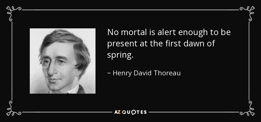 No mortal is alert enough to be present at the first dawn of spring. - Henry David Thoreau
