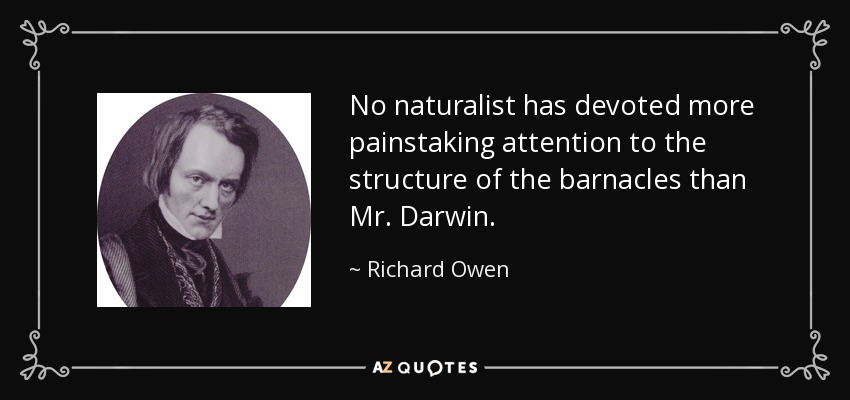 No naturalist has devoted more painstaking attention to the structure of the barnacles than Mr. Darwin. - Richard Owen