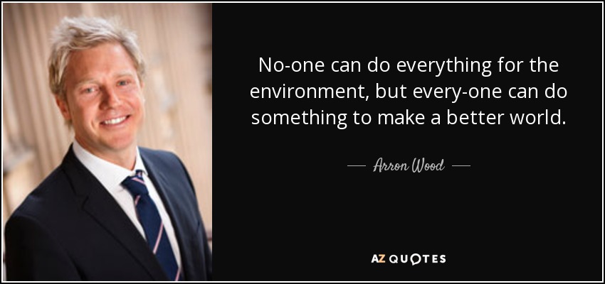 No-one can do everything for the environment, but every-one can do something to make a better world. - Arron Wood