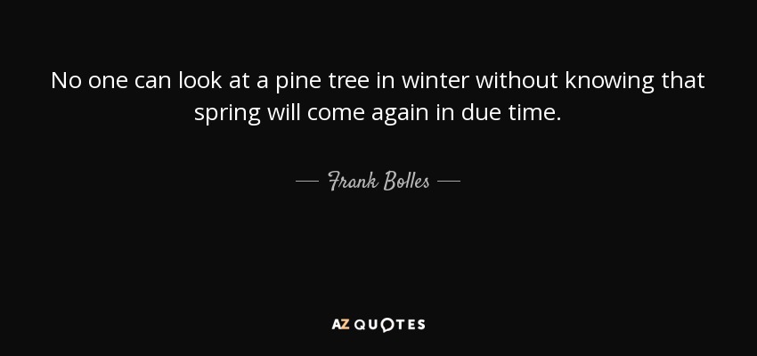 No one can look at a pine tree in winter without knowing that spring will come again in due time. - Frank Bolles