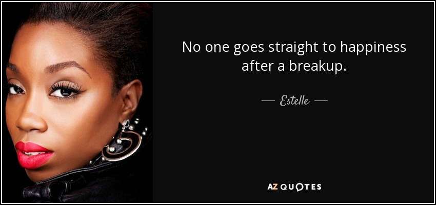 No one goes straight to happiness after a breakup. - Estelle