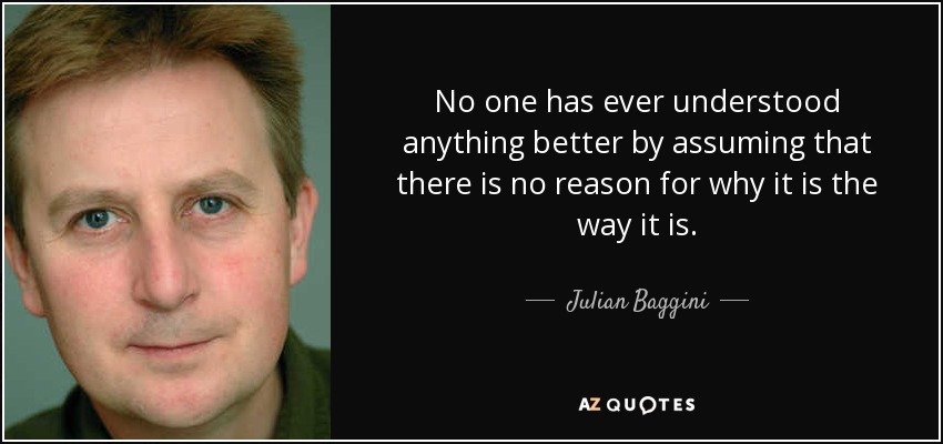 No one has ever understood anything better by assuming that there is no reason for why it is the way it is. - Julian Baggini