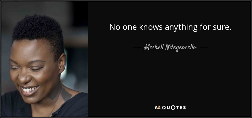 No one knows anything for sure. - Meshell Ndegeocello