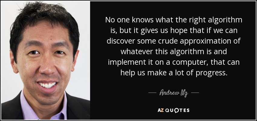 No one knows what the right algorithm is, but it gives us hope that if we can discover some crude approximation of whatever this algorithm is and implement it on a computer, that can help us make a lot of progress. - Andrew Ng