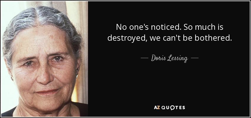 No one's noticed. So much is destroyed, we can't be bothered. - Doris Lessing