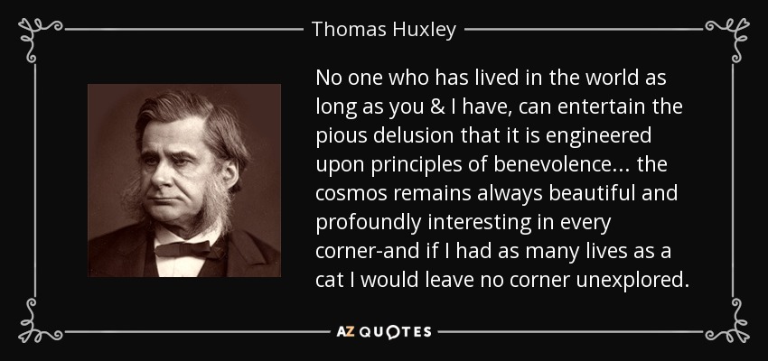 No one who has lived in the world as long as you & I have, can entertain the pious delusion that it is engineered upon principles of benevolence... the cosmos remains always beautiful and profoundly interesting in every corner-and if I had as many lives as a cat I would leave no corner unexplored. - Thomas Huxley