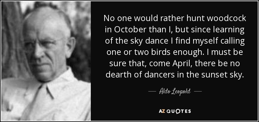 No one would rather hunt woodcock in October than I, but since learning of the sky dance I find myself calling one or two birds enough. I must be sure that, come April, there be no dearth of dancers in the sunset sky. - Aldo Leopold