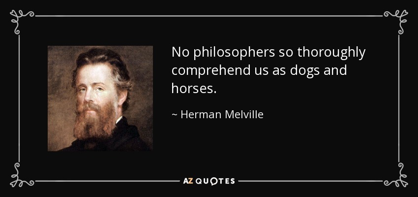 No philosophers so thoroughly comprehend us as dogs and horses. - Herman Melville