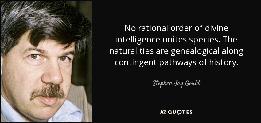 No rational order of divine intelligence unites species. The natural ties are genealogical along contingent pathways of history. - Stephen Jay Gould