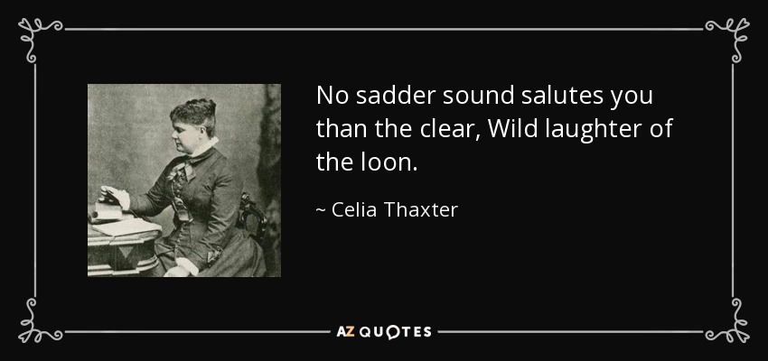 No sadder sound salutes you than the clear, Wild laughter of the loon. - Celia Thaxter
