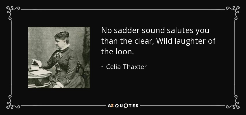 No sadder sound salutes you than the clear, Wild laughter of the loon. - Celia Thaxter