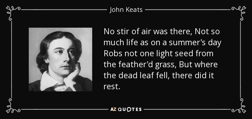 No stir of air was there, Not so much life as on a summer's day Robs not one light seed from the feather'd grass, But where the dead leaf fell, there did it rest. - John Keats