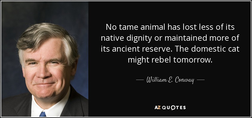 No tame animal has lost less of its native dignity or maintained more of its ancient reserve. The domestic cat might rebel tomorrow. - William E. Conway, Jr.