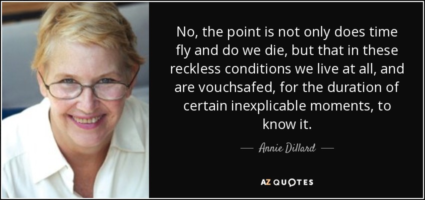 No, the point is not only does time fly and do we die, but that in these reckless conditions we live at all, and are vouchsafed, for the duration of certain inexplicable moments, to know it. - Annie Dillard